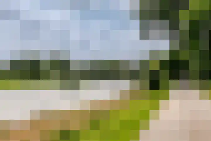 Offenbachlaan 89 Heemstede thumbnail 34