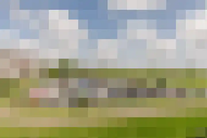 Offenbachlaan 89 Heemstede thumbnail 37