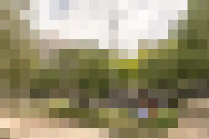 Offenbachlaan 89 Heemstede thumbnail 6