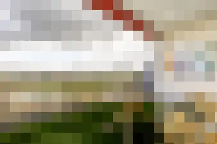Offenbachlaan 96 Heemstede thumbnail 12