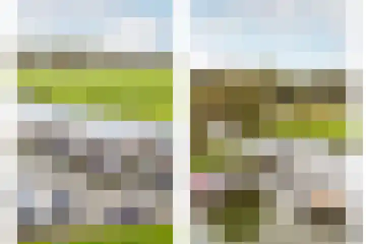 Offenbachlaan 96 Heemstede thumbnail 28