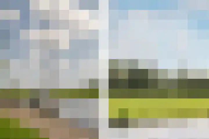 Offenbachlaan 96 Heemstede thumbnail 32