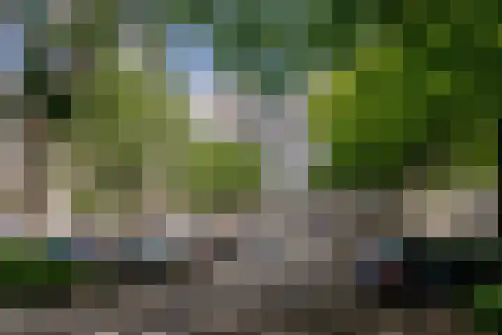 Offenbachlaan 96 Heemstede thumbnail 5