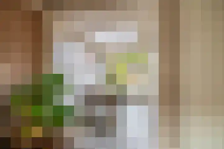 Offenbachplantsoen 10 Drunen thumbnail 10