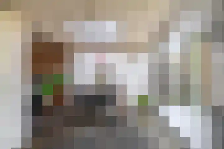 Offenbachplantsoen 10 Drunen thumbnail 11