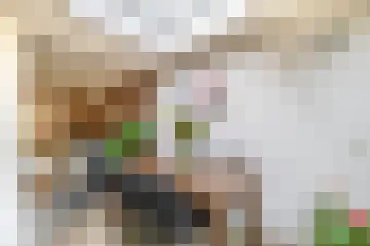 Offenbachplantsoen 10 Drunen thumbnail 12