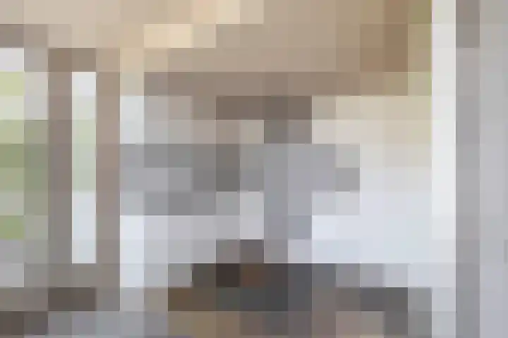Offenbachplantsoen 10 Drunen thumbnail 13
