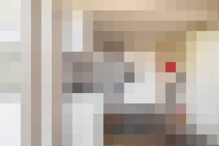 Offenbachplantsoen 10 Drunen thumbnail 14
