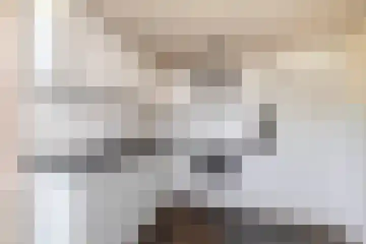 Offenbachplantsoen 10 Drunen thumbnail 15