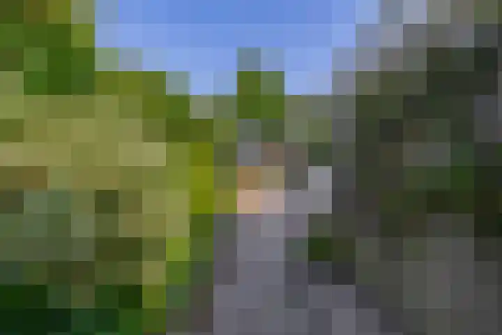 Offenbachplantsoen 10 Drunen thumbnail 16