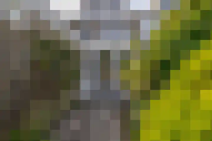 Offenbachplantsoen 10 Drunen thumbnail 17