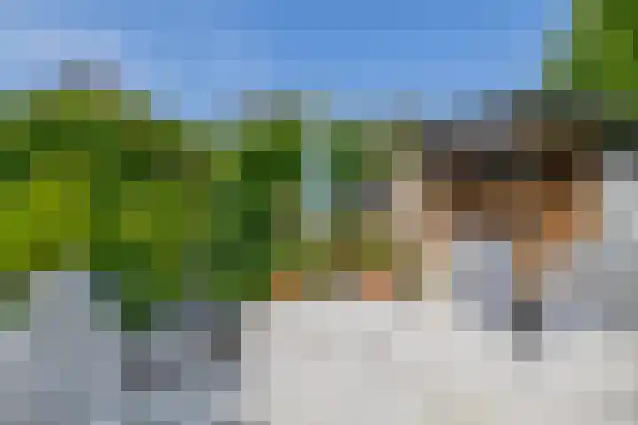 Offenbachplantsoen 10 Drunen thumbnail 19