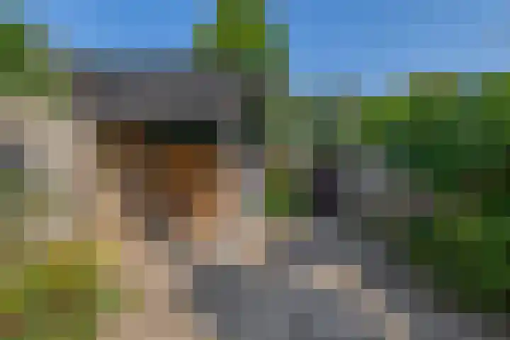 Offenbachplantsoen 10 Drunen thumbnail 20