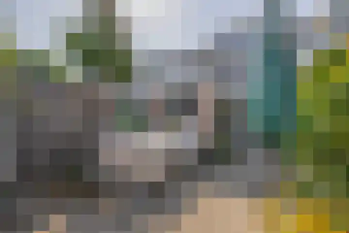 Offenbachplantsoen 10 Drunen thumbnail 21