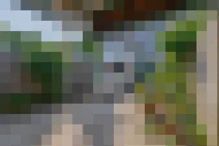 Offenbachplantsoen 10 Drunen thumbnail 22
