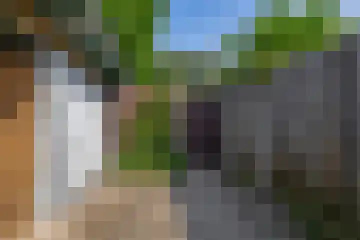 Offenbachplantsoen 10 Drunen thumbnail 24