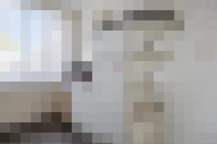 Offenbachplantsoen 42 Drunen thumbnail 11