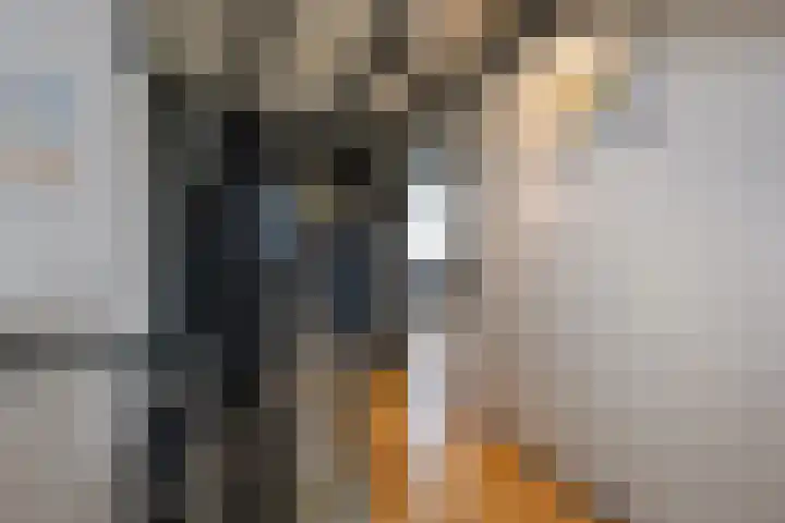 Offenbachplantsoen 42 Drunen thumbnail 15