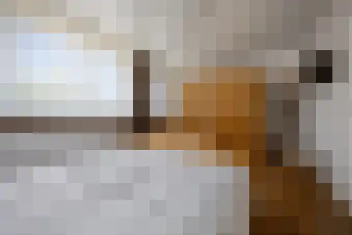 Offenbachplantsoen 42 Drunen thumbnail 22