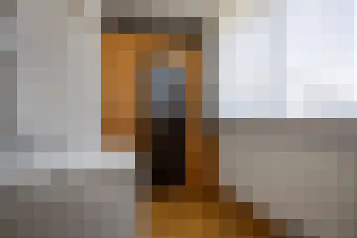 Offenbachplantsoen 42 Drunen thumbnail 23