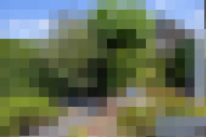 Offenbachplantsoen 42 Drunen thumbnail 31