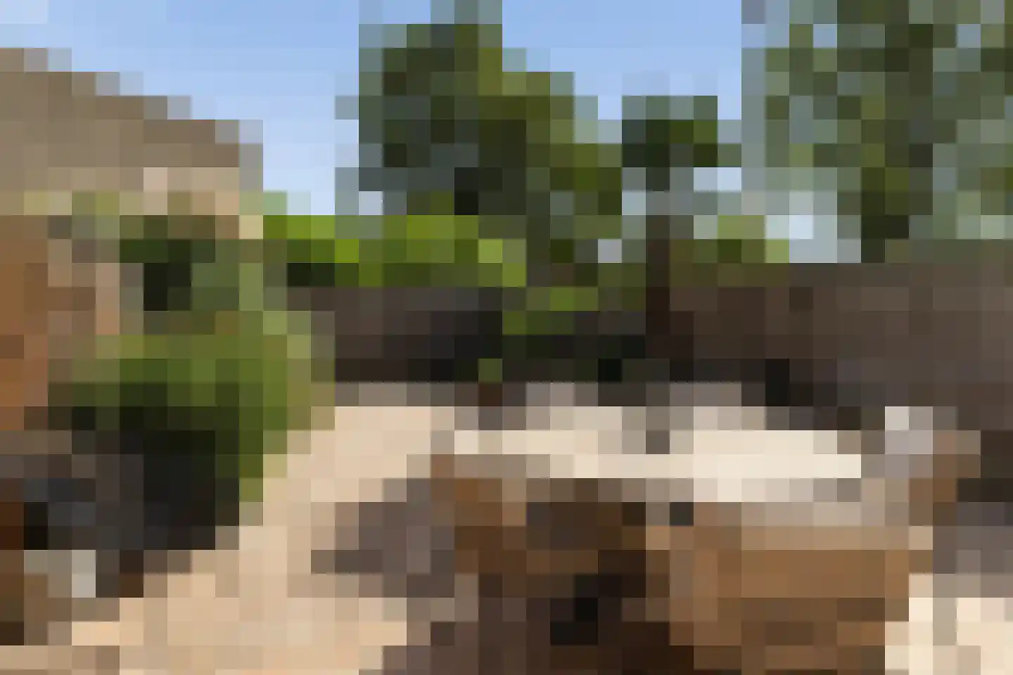 Offenbachrode 1 Zoetermeer thumbnail 19