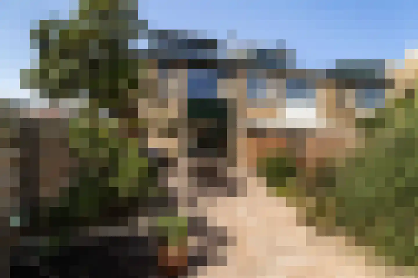 Offenbachrode 1 Zoetermeer thumbnail 21