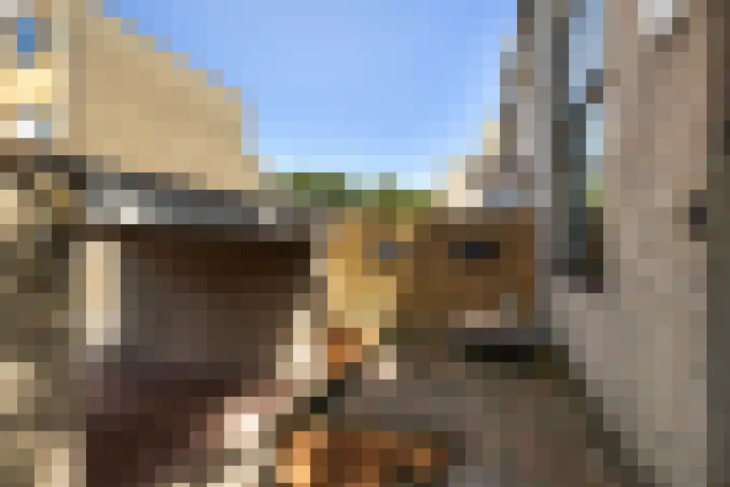 Offenbachrode 1 Zoetermeer thumbnail 42