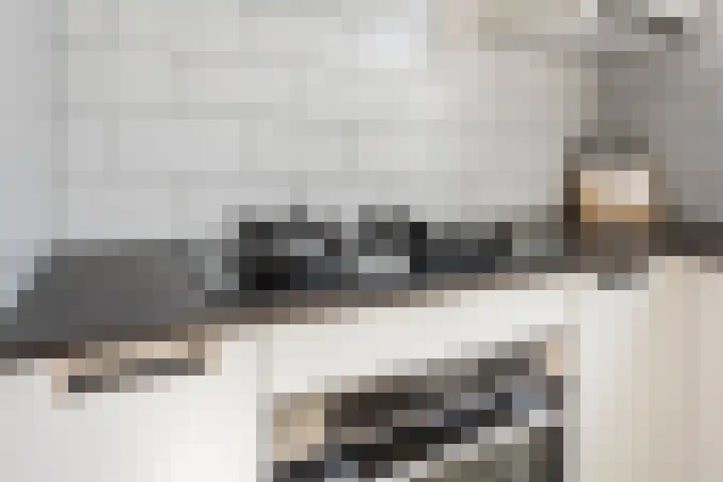 Offenbachrode 30 Zoetermeer thumbnail 22