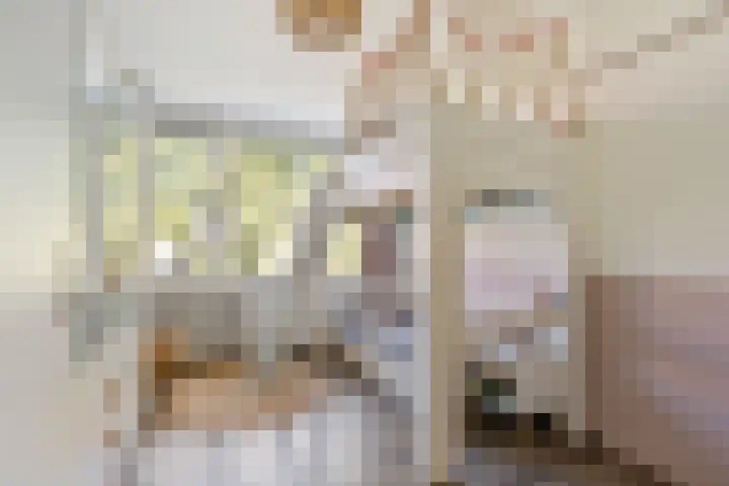 Offenbachrode 30 Zoetermeer thumbnail 30