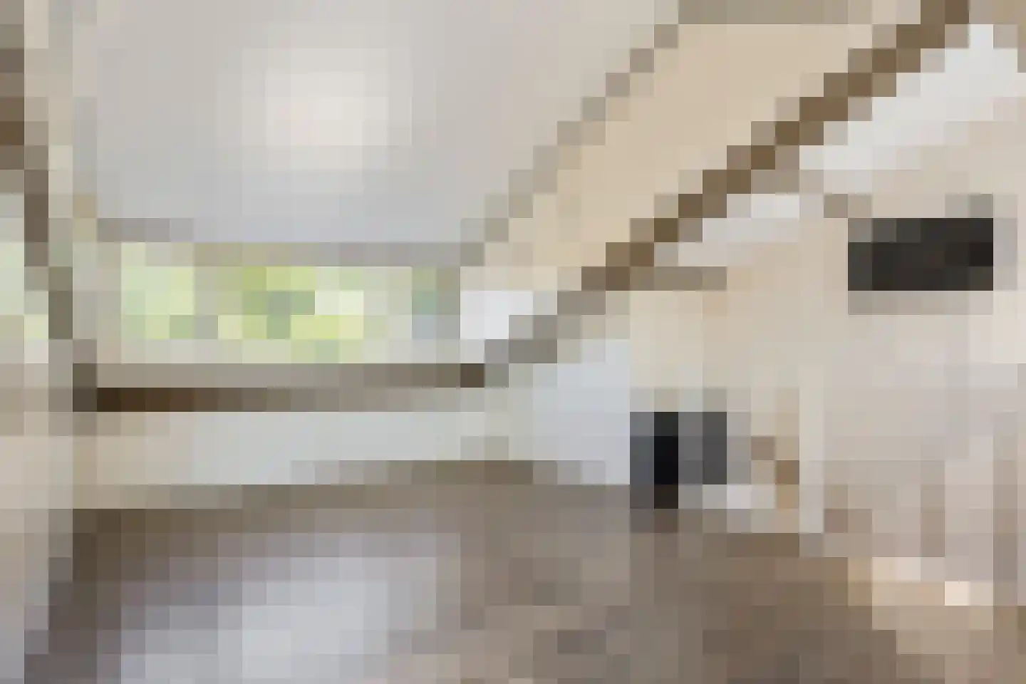 Offenbachrode 30 Zoetermeer thumbnail 38