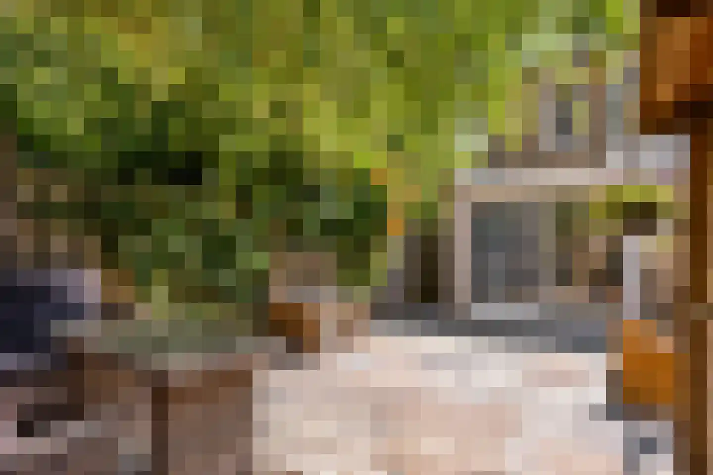 Offenbachrode 30 Zoetermeer thumbnail 43