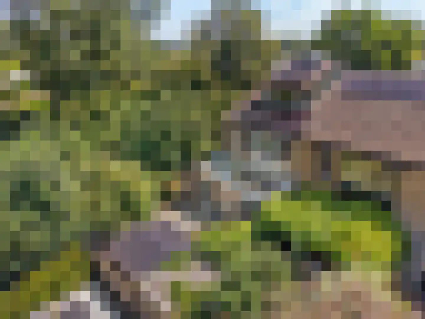 Offenbachrode 30 Zoetermeer thumbnail 46