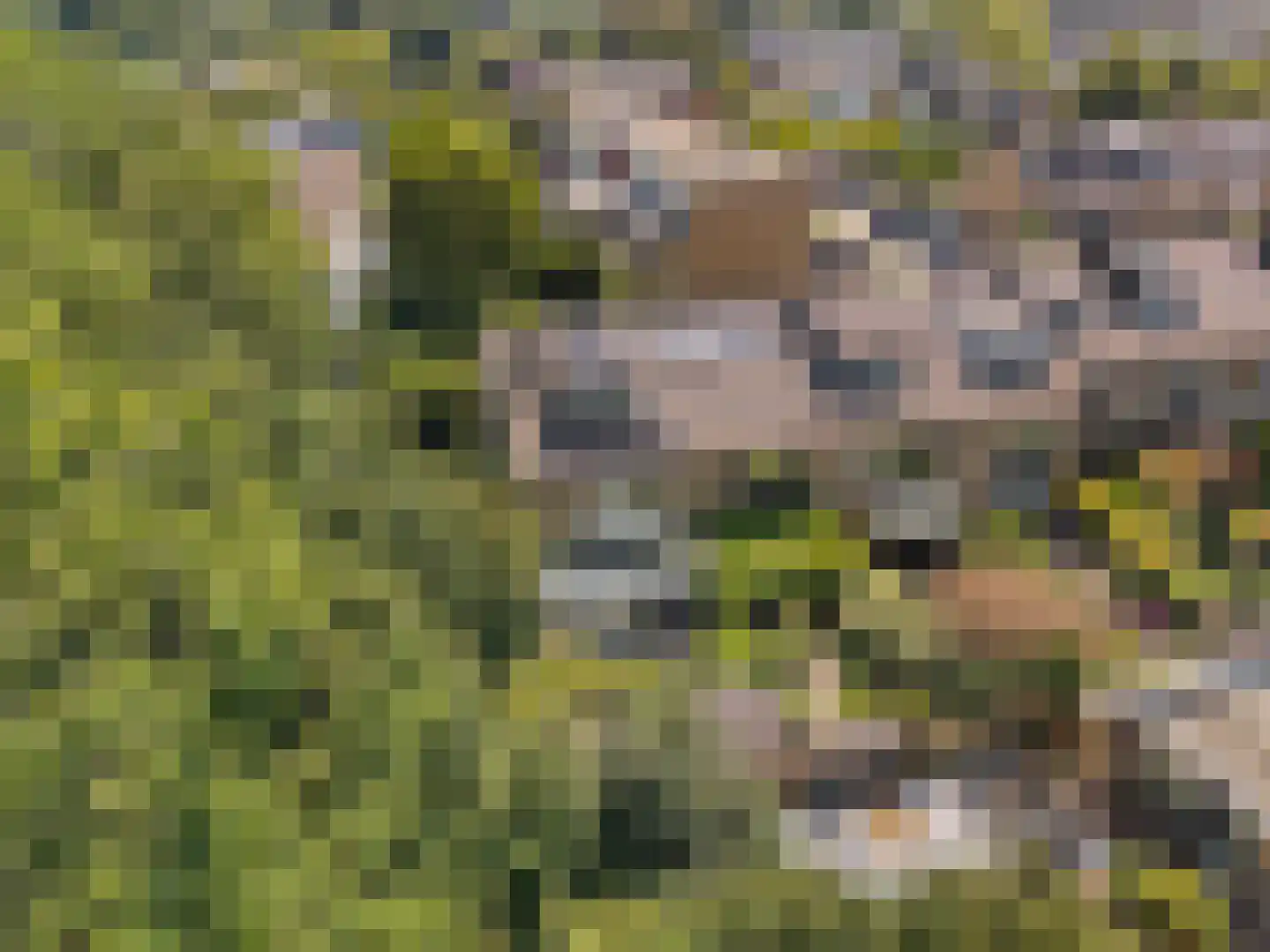 Offenbachrode 30 Zoetermeer thumbnail 47