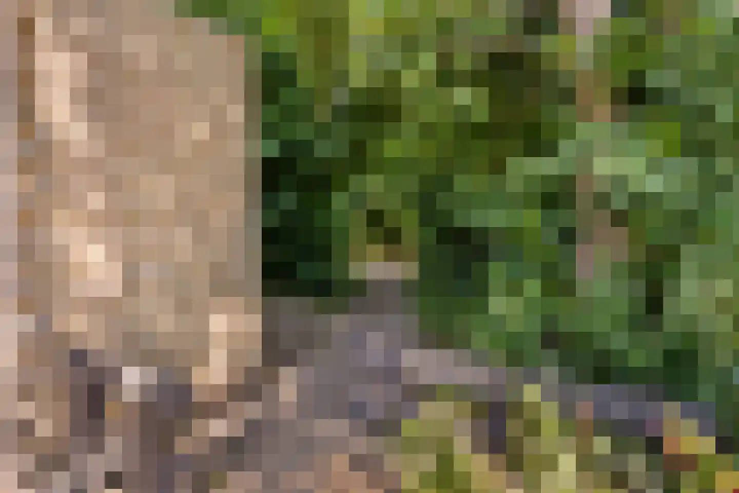 Offenbachrode 30 Zoetermeer thumbnail 54