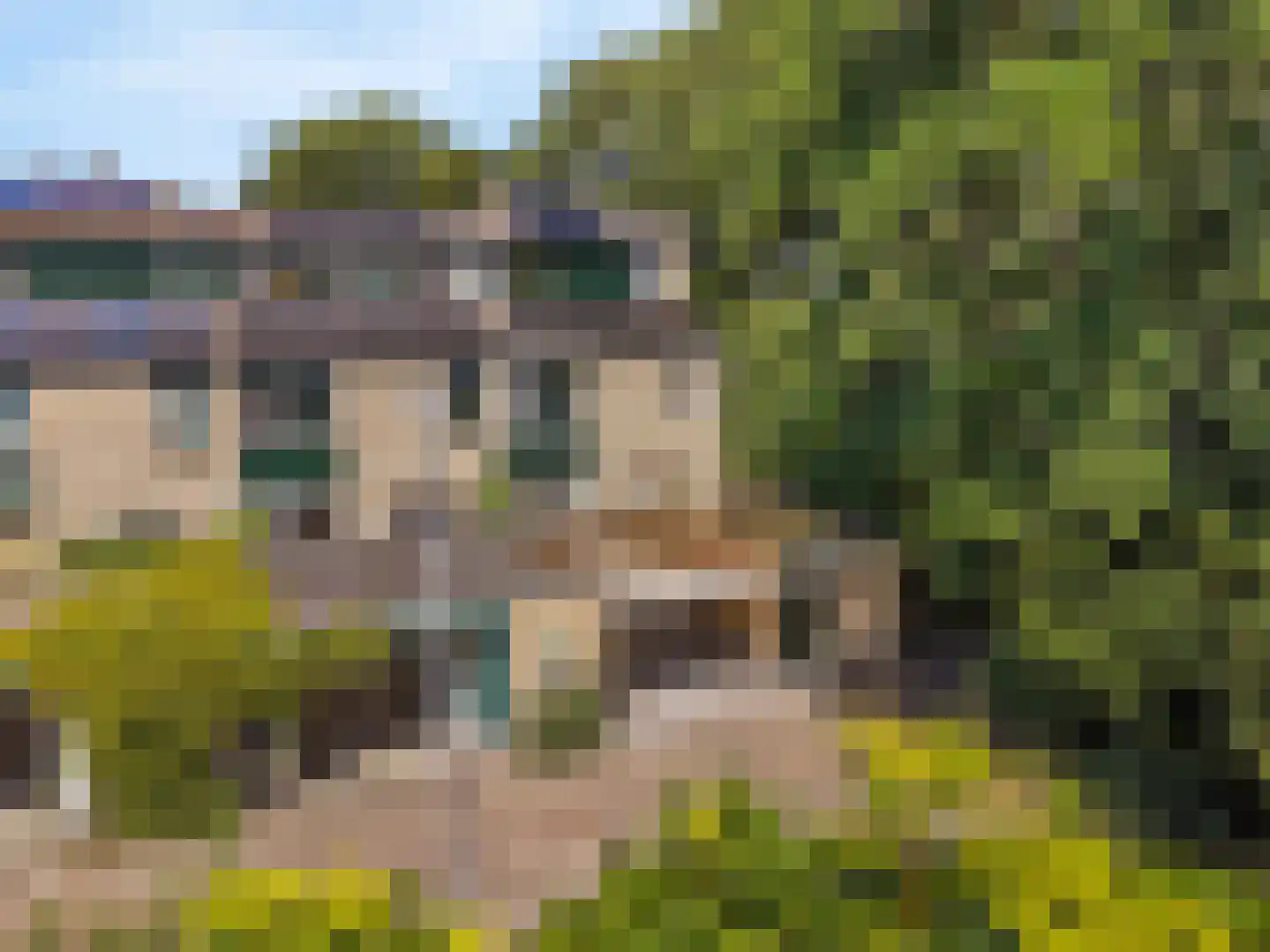 Offenbachrode 30 Zoetermeer thumbnail 61