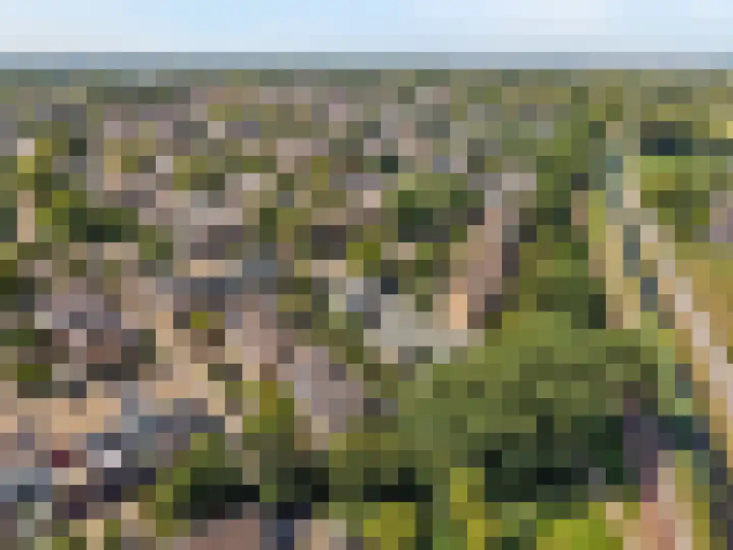 Offenbachrode 30 Zoetermeer thumbnail 66