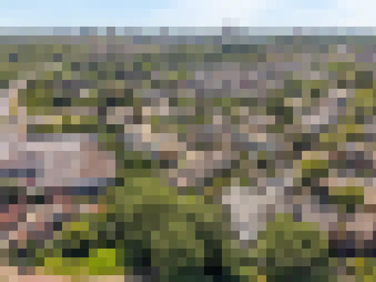 Offenbachrode 30 Zoetermeer thumbnail 67