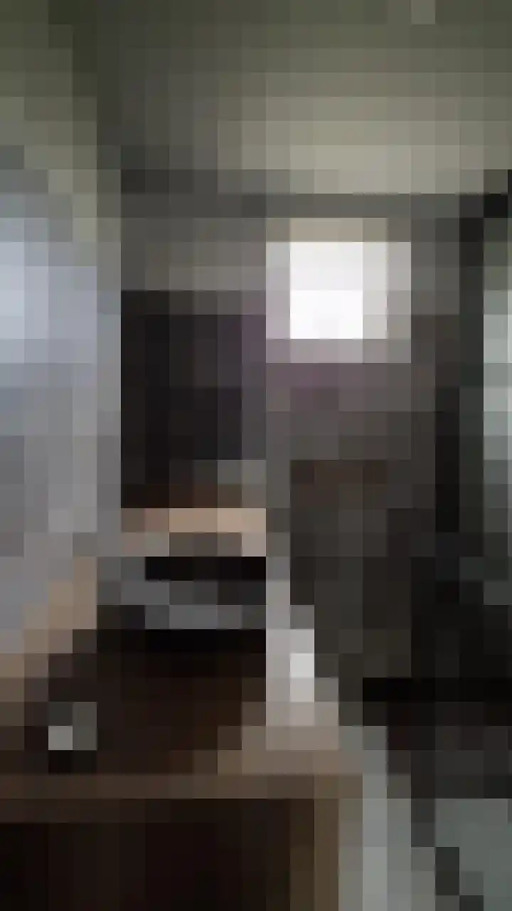 Offenbachstraat 10 Spijkenisse thumbnail 10
