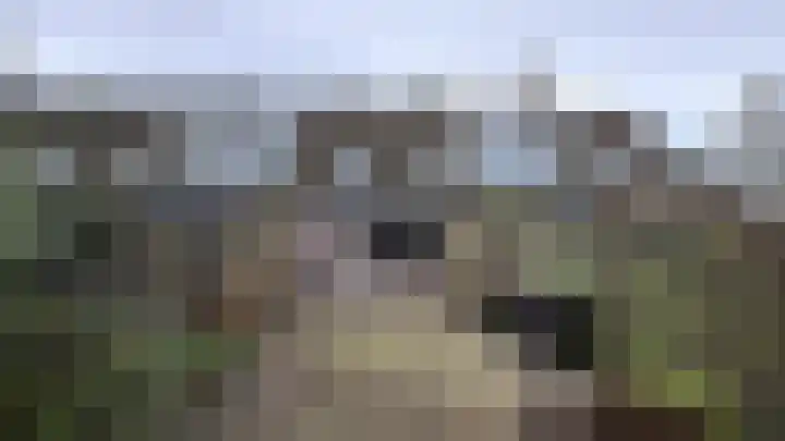 Offenbachstraat 10 Spijkenisse thumbnail 12