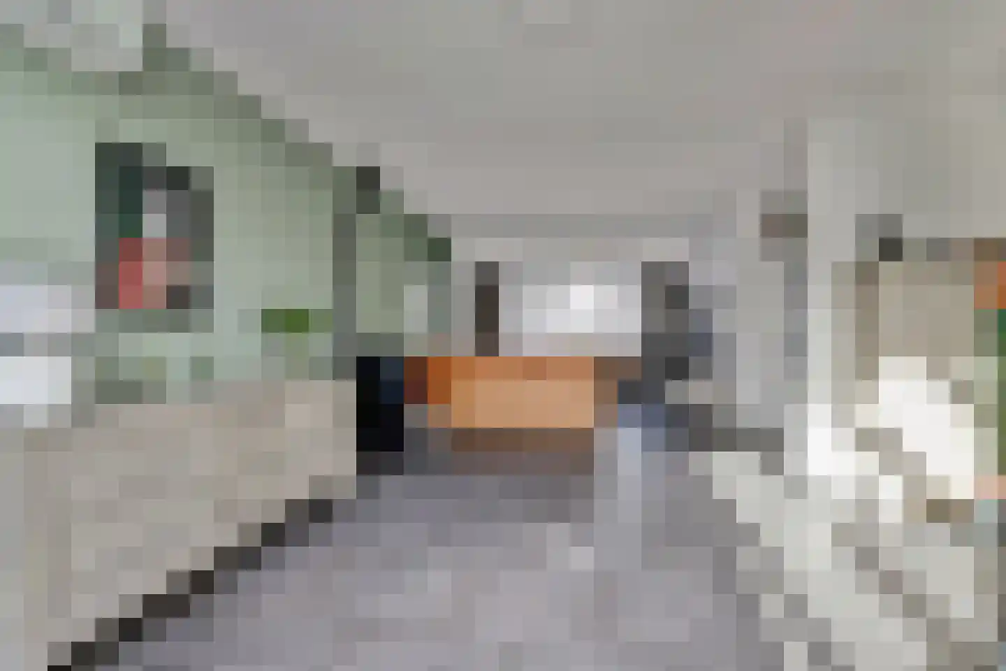 Offenbachstraat 170 Tilburg thumbnail 13