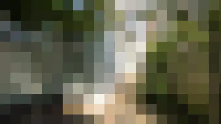 Offenbachstraat 25 Spijkenisse thumbnail 4