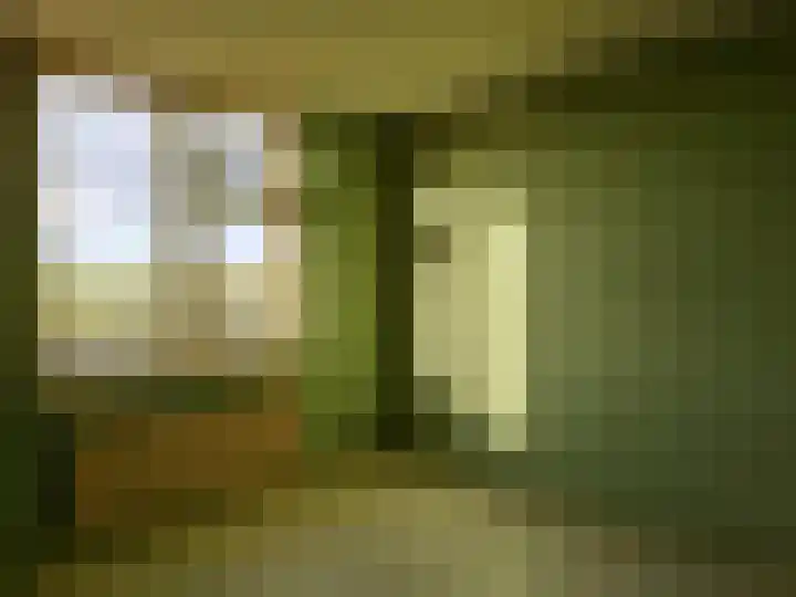 Offenbachstraat 25 Spijkenisse thumbnail 8