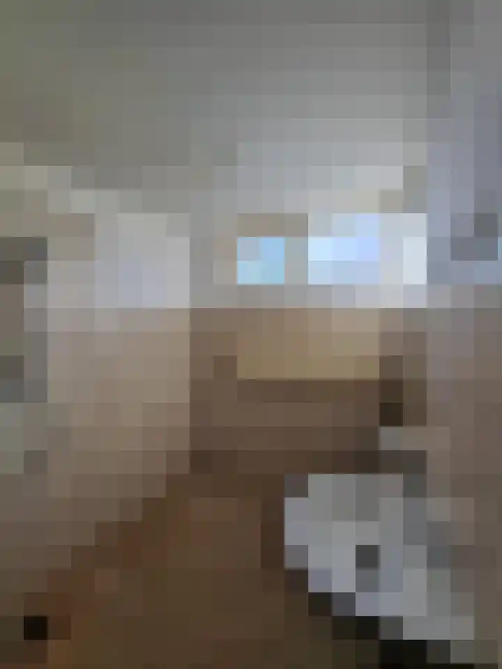 Offenbachstraat 25 Spijkenisse thumbnail 9