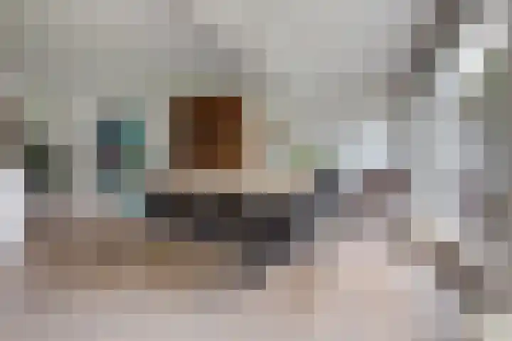 Offenbachstraat 27 Alkmaar thumbnail 26