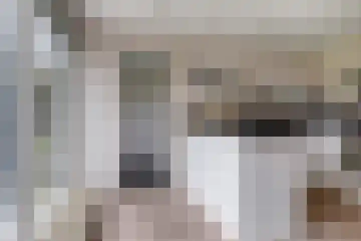 Offenbachstraat 27 Alkmaar thumbnail 30