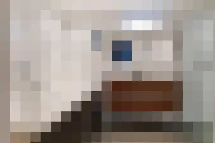 Offenbachstraat 27 Alkmaar thumbnail 36