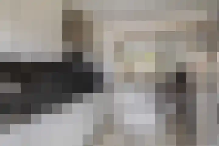 Offenbachstraat 32 Capelle aan den IJssel thumbnail 14