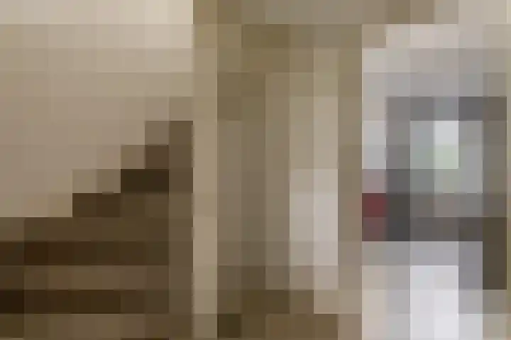 Offenbachstraat 32 Capelle aan den IJssel thumbnail 17