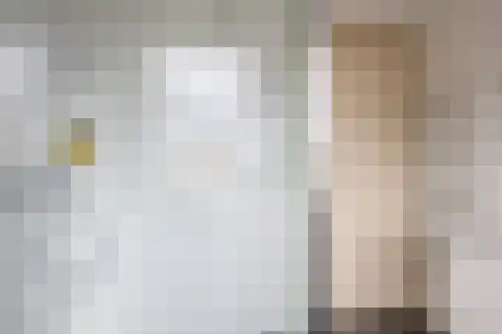 Offenbachstraat 32 Capelle aan den IJssel thumbnail 21